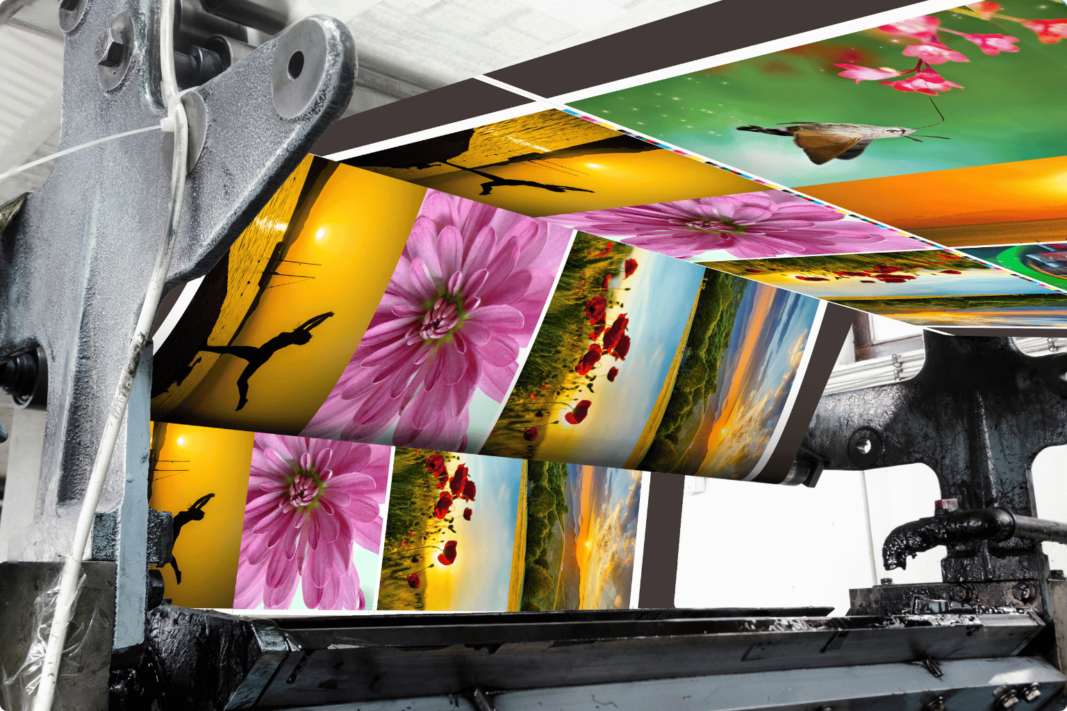 Offset Printing